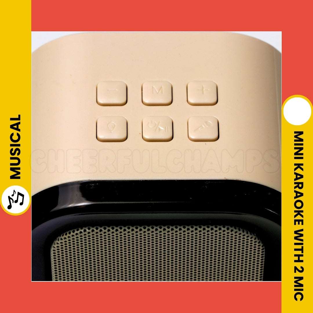 Mini Karaoke Machine - Bluetooth, Lights, Magic Voice | With 2 Microphone
